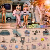 01 California Dreamin Skybox RARE