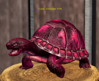 Female Breedable Turtle Foxtrot Beautiful Smudge Pink Teacup