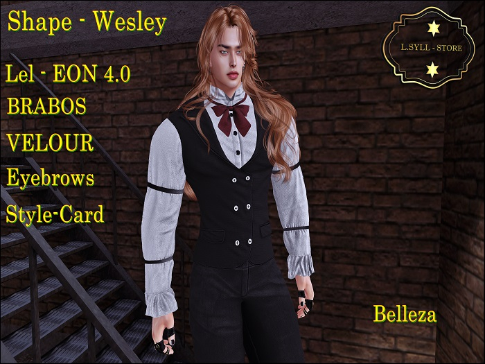 Shape - WESLEY - Belleza