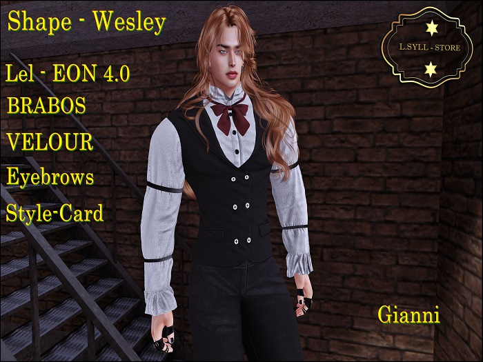 Shape - WESLEY - S.Gianni