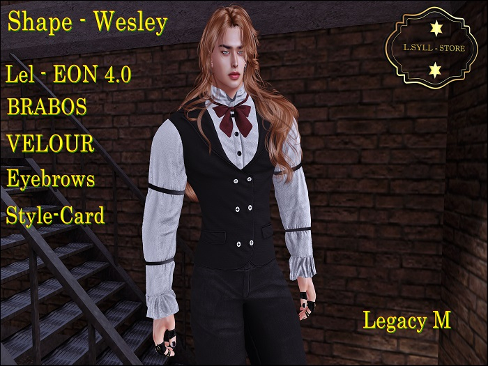 Shape - WESLEY - Legacy M
