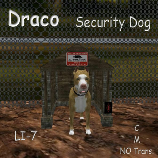Draco Guard Dog