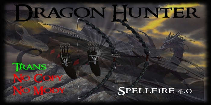 Dragon Hunter
