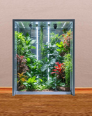 Wall Deco Sticker Mural Vegetation Frame Panel 2