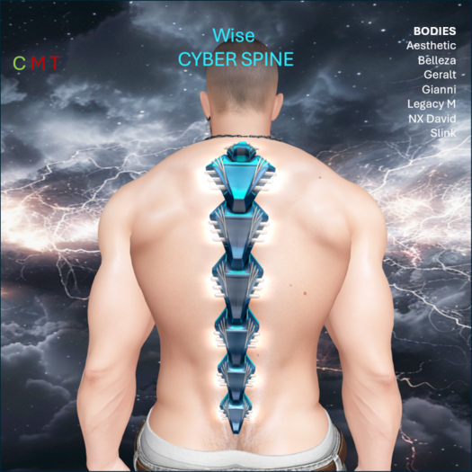 WiZe Delivery (Add) - Cyber Spine Aqua Blue