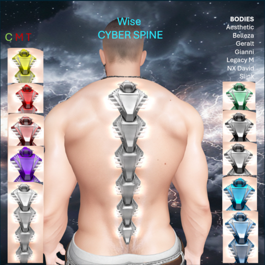 WiZe Delivery (Add) - Cyber Spine Fat Fack
