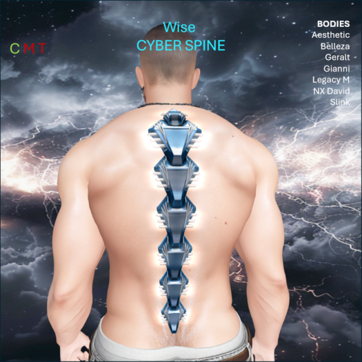 WiZe Delivery (Add) - Cyber Spine Blue