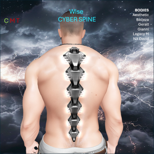 WiZe Delivery (Add) - Cyber Spine Jet