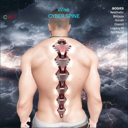 WiZe Delivery (Add) - Cyber Spine Maroon