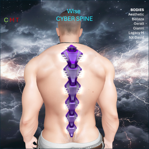WiZe Delivery (Add) - Cyber Spine Purple