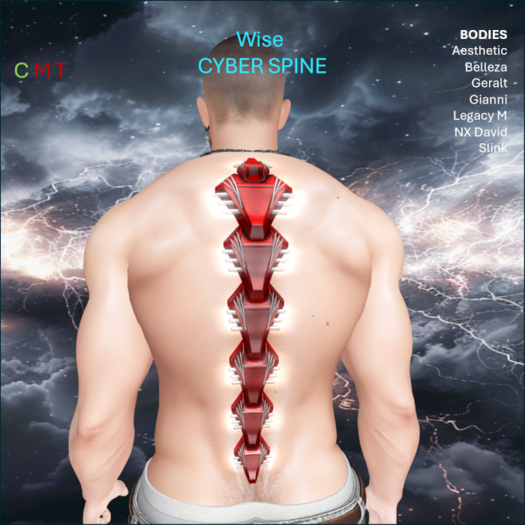 WiZe Delivery (Add) - Cyber Spine Red