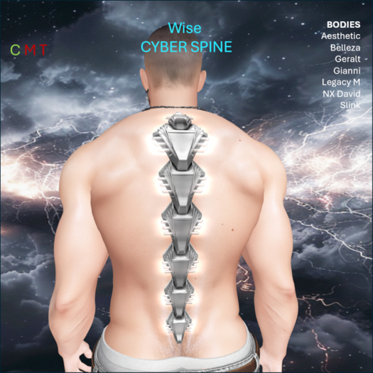 WiZe Delivery (Add) - Cyber Spine Silver
