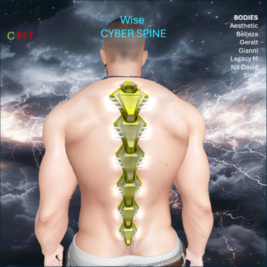 WiZe Delivery (Add) - Cyber Spine Yellow
