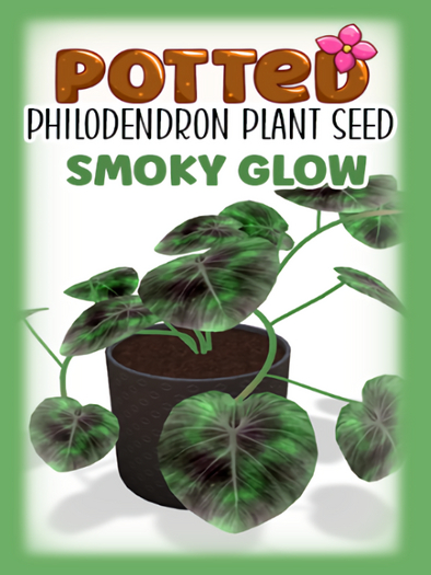 Potted: Philodendron Seed: Smoky Glow