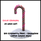 DFS Cranberry Plant - CandyCane (XMAS Advent 2025) ACTUAL ITEM