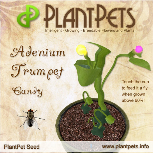 PlantPet Seed [Adenium Trumpet *Candy*]