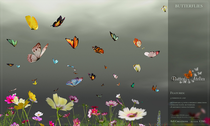 8f8 - Butterfly Atelier - Butterflies 