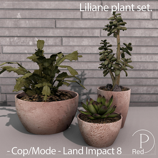 P.ReD. Liliane plant set - Box
