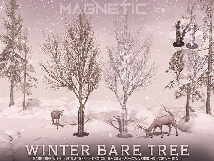 Magnetic - Winter Bare Tree