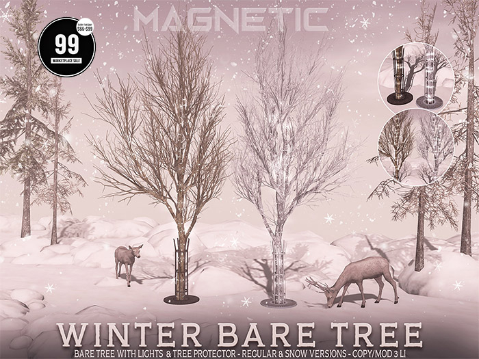 Magnetic - Winter Bare Tree