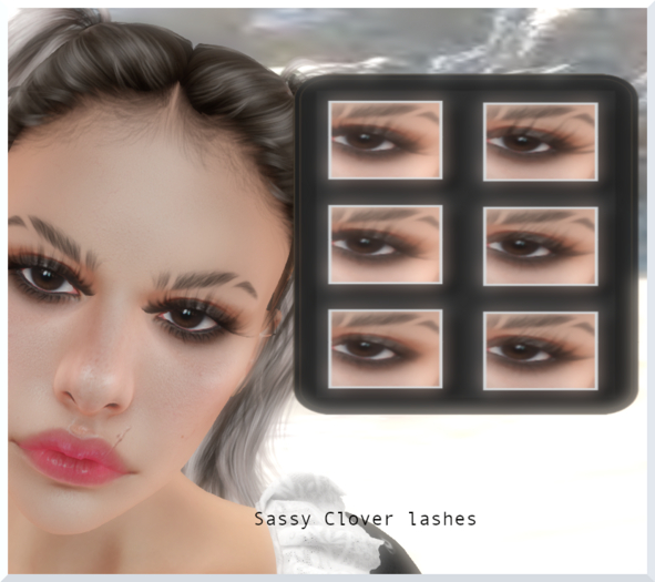 AIOSKYE-Sassy-Clover lash