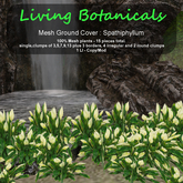 Inochi Botanicals - Ground Cover "Spathiphyllum"