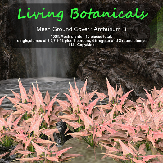 Inochi Botanicals - Ground Cover "Arrowhead"