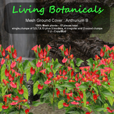 Inochi Botanicals - Ground Cover "Anthurium B"
