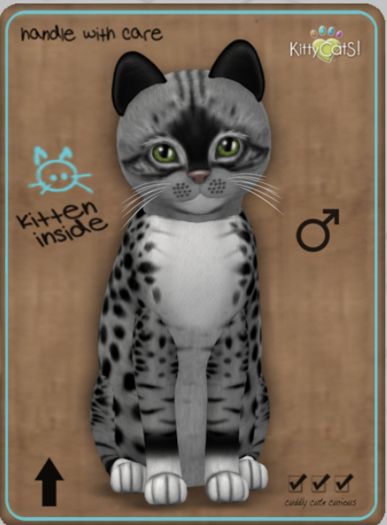 KittyCatS Box - Genesis - Bandit II Male MegaPuss