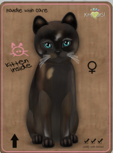 KittyCatS Box - Genesis - Coco V Female Teacup