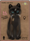 KittyCatS Box - Genesis - Coco V Female Teacup