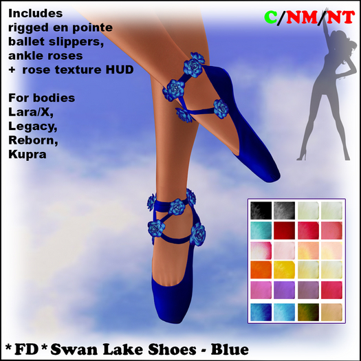 *FD* Swan Lake Shoes [Boxed] Blue