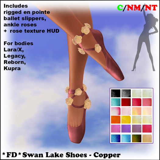 *FD* Swan Lake Shoes [Boxed] Copper