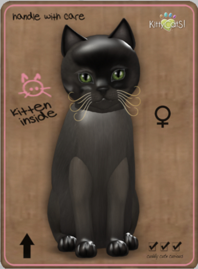 KittyCatS Box - Genesis - Coco Female
