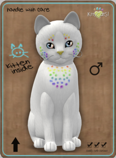 KittyCatS Box - Confetti - CocoBerry Male