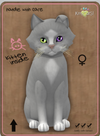 KittyCatS Box - Genesis - Diamond II female
