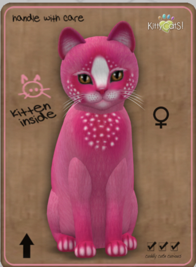 KittyCatS Box - Confetti - PinkBerry Female