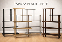Modern.Kind Papaya Plant Shelves