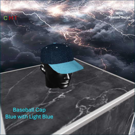 WiZe Delivery (Add) - Baseball Cap Blue w Light Blue