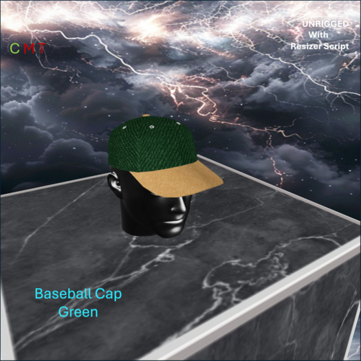 WiZe Delivery (Add) - Baseball Cap Green