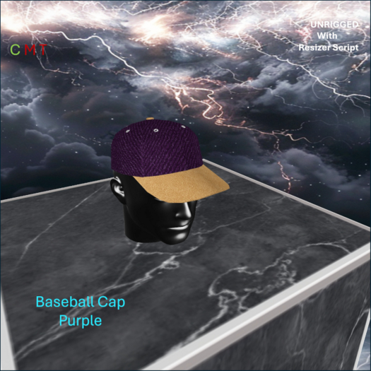 WiZe Delivery (Add) - Baseball Cap Purple