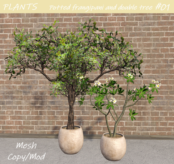PLANTS - Potted frangipani and double tree #01