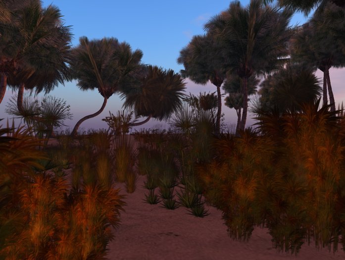 CM Beach 2 PRIM touch-Palm Pack 