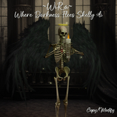 ~WiRa~ Where Darkness Flees Skelly BOX