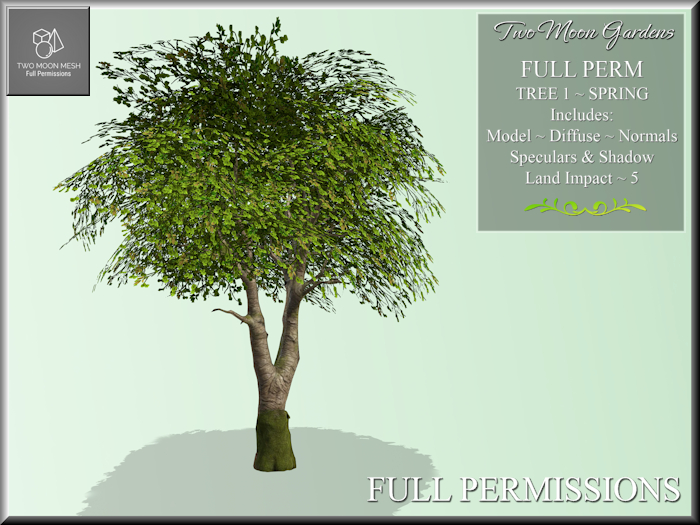 Full Perm Tree 1 Spring