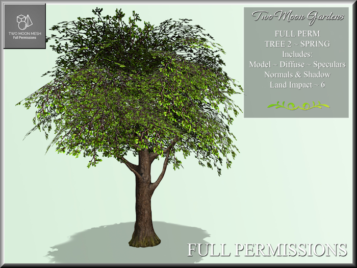 Full Perm Tree 2 Spring
