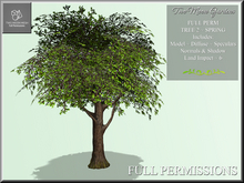 Full Perm Tree 2 Spring