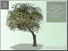 Full Perm Tree 4 Spring