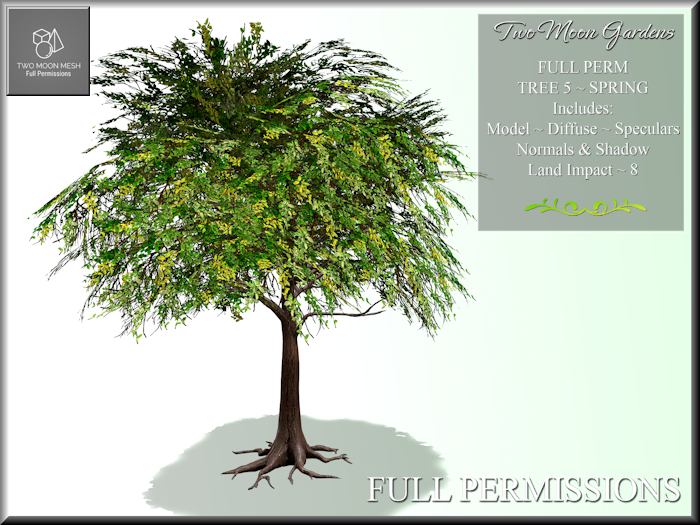 Full Perm Tree 5 Spring