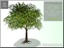 Full Perm Tree 5 Spring